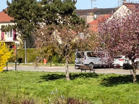 IMG_20250331_161429979_HDR