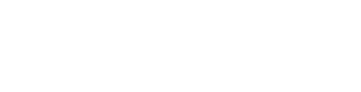 NordVPN logo white NordVPN logo white